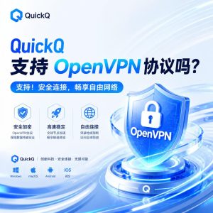 QuickQ支持OpenVPN协议吗？
