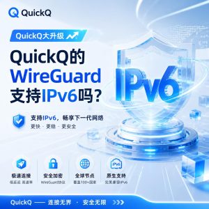 QuickQ的WireGuard支持IPv6吗？
